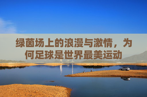 绿茵场上的浪漫与激情，为何足球是世界最美运动