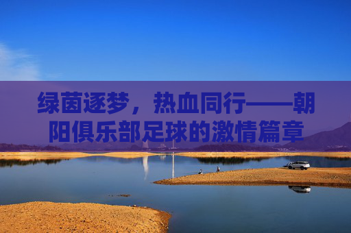 绿茵逐梦,热血同行——朝阳俱乐部足球的激情篇章