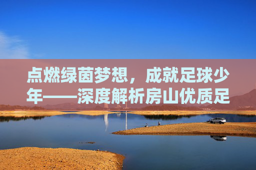 点燃绿茵梦想，成就足球少年——深度解析房山优质足球培训班