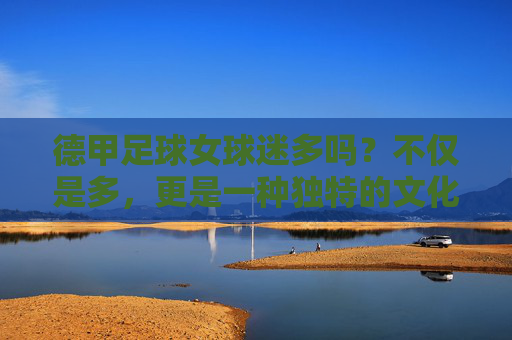 德甲足球女球迷多吗?不仅是多,更是一种独特的文化现象