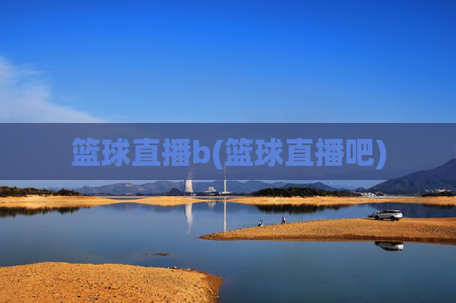 篮球直播b(篮球直播吧)