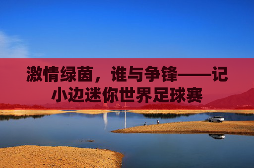 激情绿茵，谁与争锋——记小边迷你世界足球赛