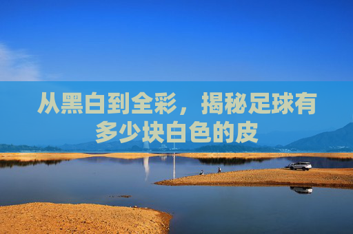 从黑白到全彩,揭秘足球有多少块白色的皮