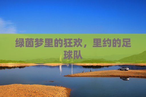 绿茵梦里的狂欢,里约的足球队