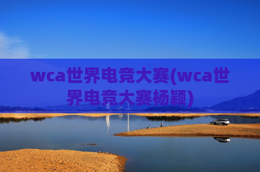 wca世界电竞大赛(wca世界电竞大赛杨颖)