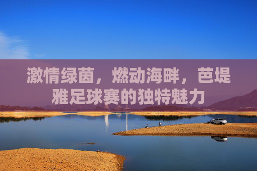 激情绿茵,燃动海畔,芭堤雅足球赛的独特魅力