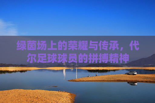 绿茵场上的荣耀与传承,代尔足球球员的拼搏精神