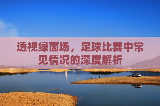 透视绿茵场,足球比赛中常见情况的深度解析