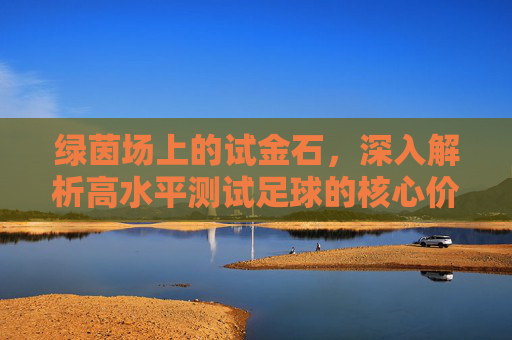 绿茵场上的试金石,深入解析高水平测试足球的核心价值与实战应用