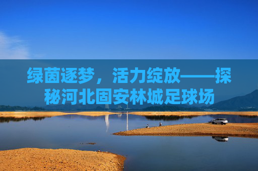 绿茵逐梦,活力绽放——探秘河北固安林城足球场