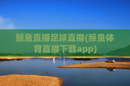 鲸鱼直播足球直播(鲸鱼体育直播下载app)
