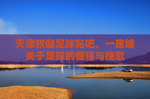 天津权健足球贴吧,一座城关于足球的倔强与挽歌