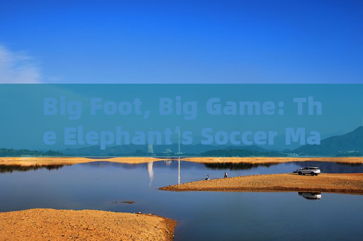 Big Foot, Big Game: The Elephant’s Soccer Match