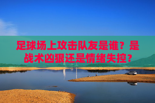 足球场上攻击队友是谁？是战术凶狠还是情绪失控？