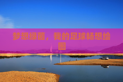 梦想绿茵，我的足球畅想绘图
