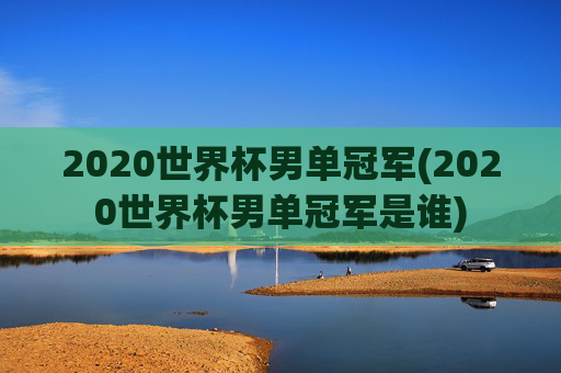 2020世界杯男单冠军(2020世界杯男单冠军是谁)