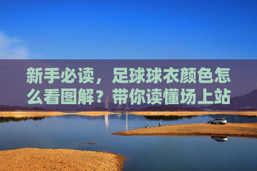 新手必读，足球球衣颜色怎么看图解？带你读懂场上站位与战术
