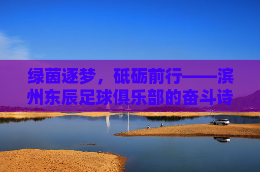 绿茵逐梦，砥砺前行——滨州东辰足球俱乐部的奋斗诗篇