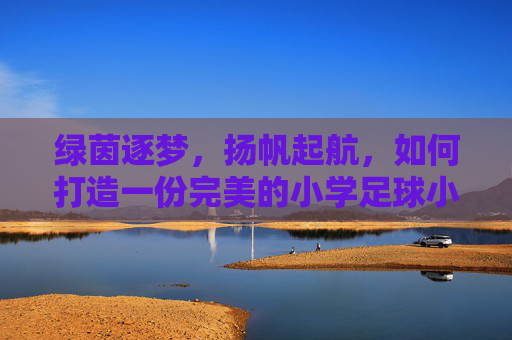 绿茵逐梦,扬帆起航,如何打造一份完美的小学足球小将简历表