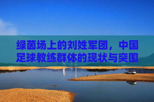 绿茵场上的刘姓军团，中国足球教练群体的现状与突围