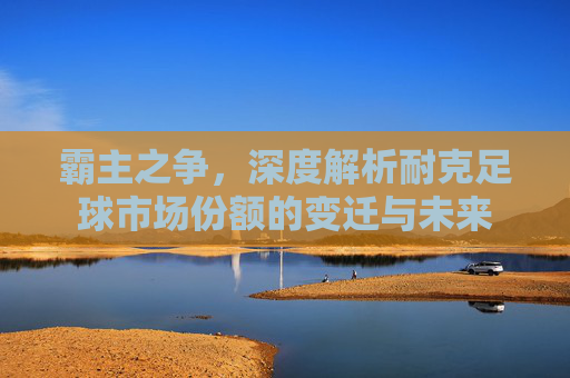 霸主之争，深度解析耐克足球市场份额的变迁与未来