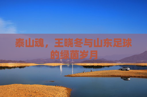泰山魂,王晓冬与山东足球的绿茵岁月