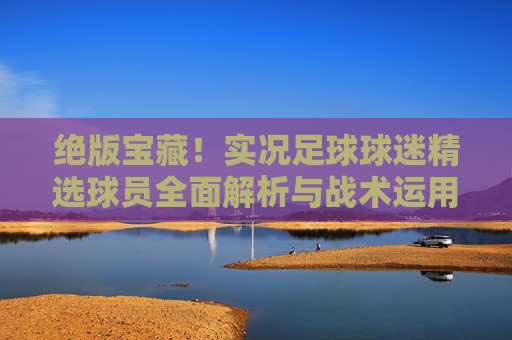 绝版宝藏!实况足球球迷精选球员全面解析与战术运用指南