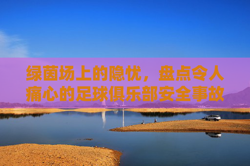 绿茵场上的隐忧,盘点令人痛心的足球俱乐部安全事故案例与反思