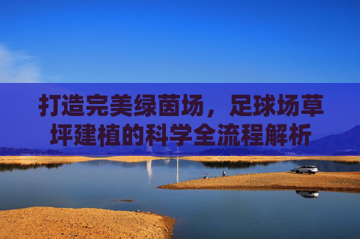 打造完美绿茵场，足球场草坪建植的科学全流程解析