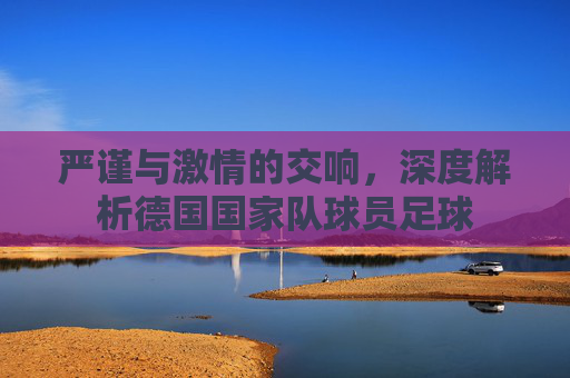 严谨与激情的交响，深度解析德国国家队球员足球