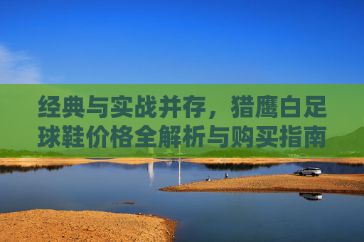 经典与实战并存，猎鹰白足球鞋价格全解析与购买指南