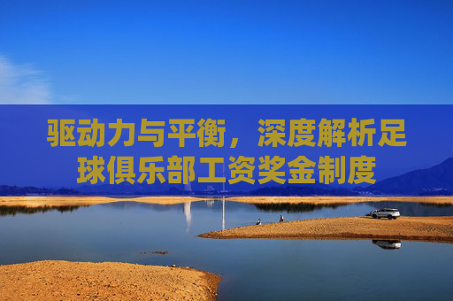 驱动力与平衡，深度解析足球俱乐部工资奖金制度
