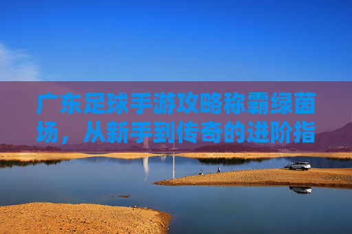 广东足球手游攻略称霸绿茵场，从新手到传奇的进阶指南