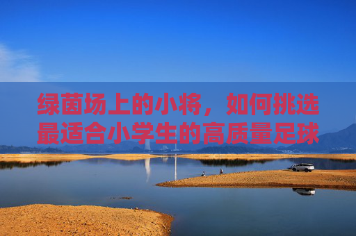 绿茵场上的小将,如何挑选最适合小学生的高质量足球