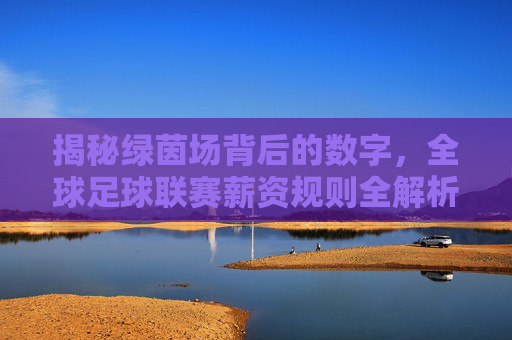 揭秘绿茵场背后的数字,全球足球联赛薪资规则全解析