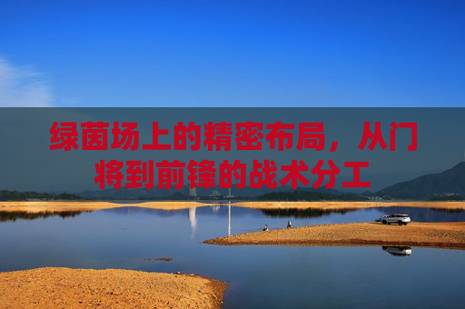 绿茵场上的精密布局，从门将到前锋的战术分工