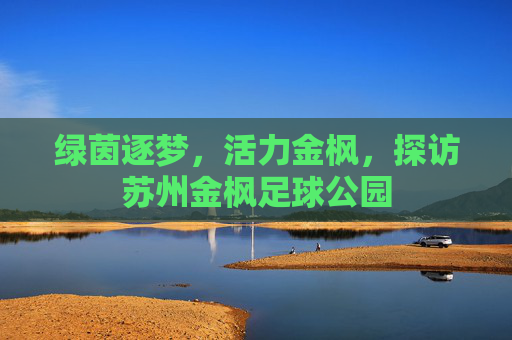 绿茵逐梦,活力金枫,探访苏州金枫足球公园