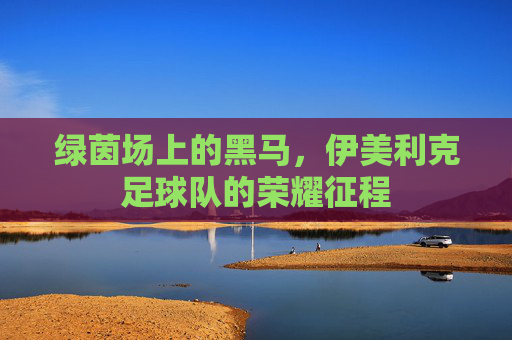 绿茵场上的黑马,伊美利克足球队的荣耀征程