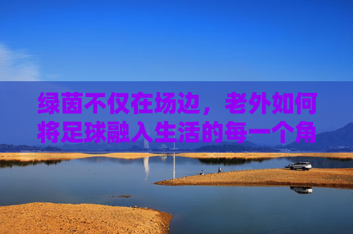 绿茵不仅在场边，老外如何将足球融入生活的每一个角落