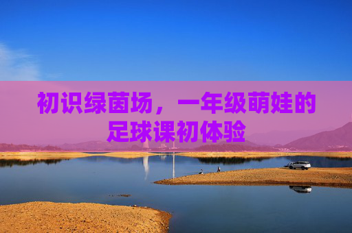 初识绿茵场，一年级萌娃的足球课初体验