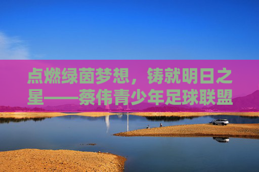 点燃绿茵梦想,铸就明日之星——蔡伟青少年足球联盟