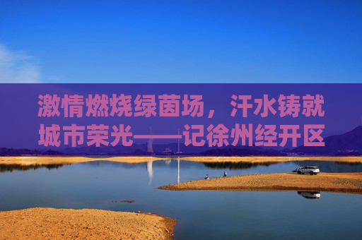 激情燃烧绿茵场，汗水铸就城市荣光——记徐州经开区足球队