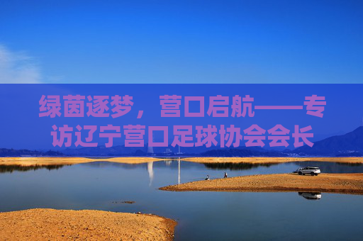 绿茵逐梦，营口启航——专访辽宁营口足球协会会长
