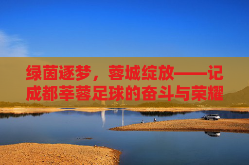 绿茵逐梦,蓉城绽放——记成都莘蓉足球的奋斗与荣耀