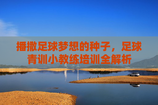 播撒足球梦想的种子,足球青训小教练培训全解析