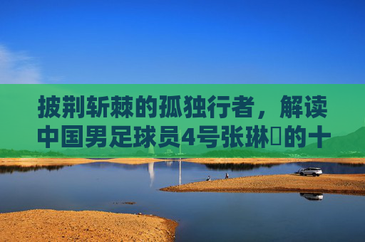 披荆斩棘的孤独行者,解读中国男足球员4号张琳芃的十年与一生