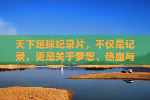 天下足球纪录片，不仅是记录，更是关于梦想、热血与时光的史诗