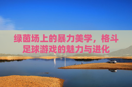 绿茵场上的暴力美学,格斗足球游戏的魅力与进化