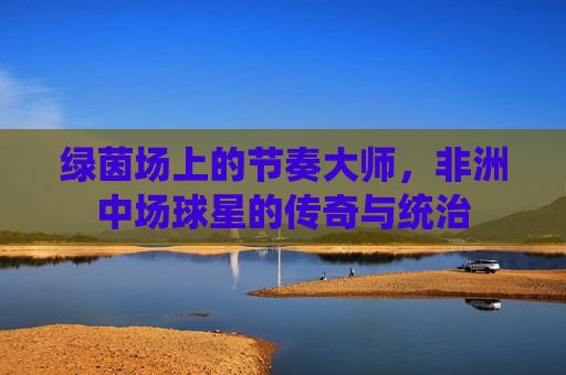 绿茵场上的节奏大师,非洲中场球星的传奇与统治