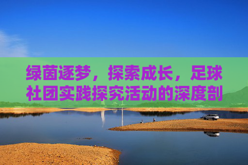 绿茵逐梦，探索成长，足球社团实践探究活动的深度剖析